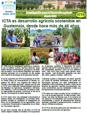 boletin ICTA enero 2019